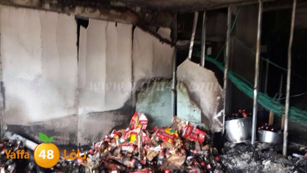 zahrat afra7 lud 0516 (1).JPG